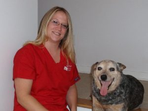 Associate veterinarian jobs in tennessee