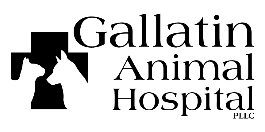 Gallatin Animal Hospital